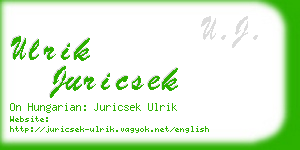 ulrik juricsek business card